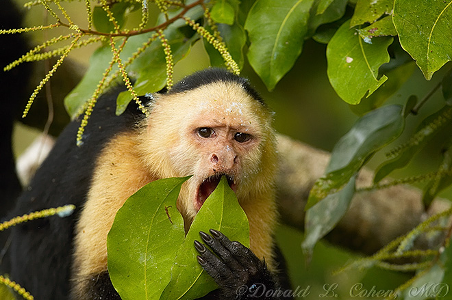 Click Here to Go Back