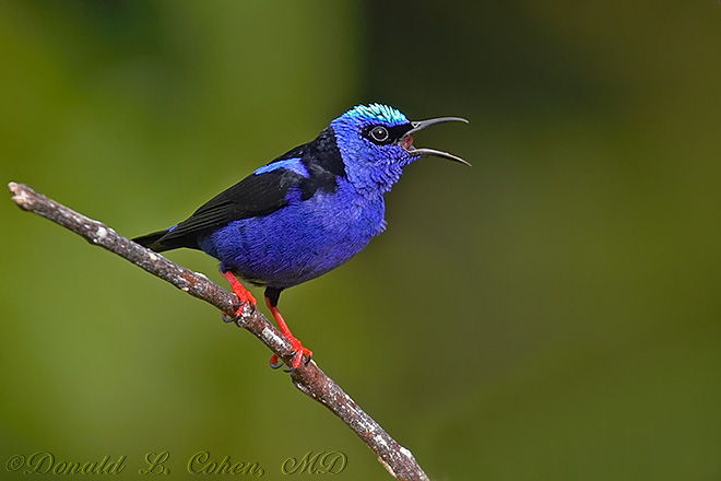 Click Here to Go Back