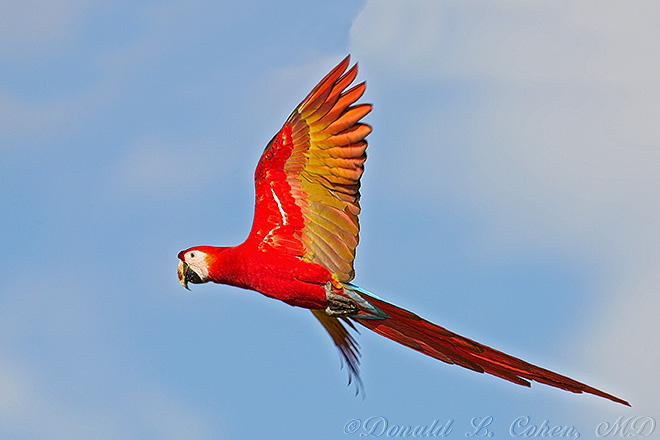 Click Here to Go Back