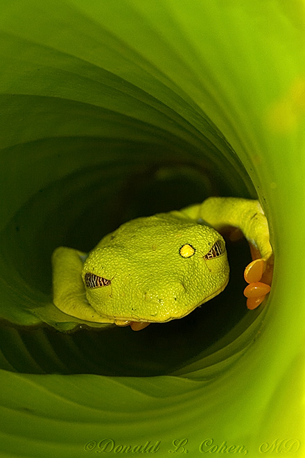 Click Here to Go Back