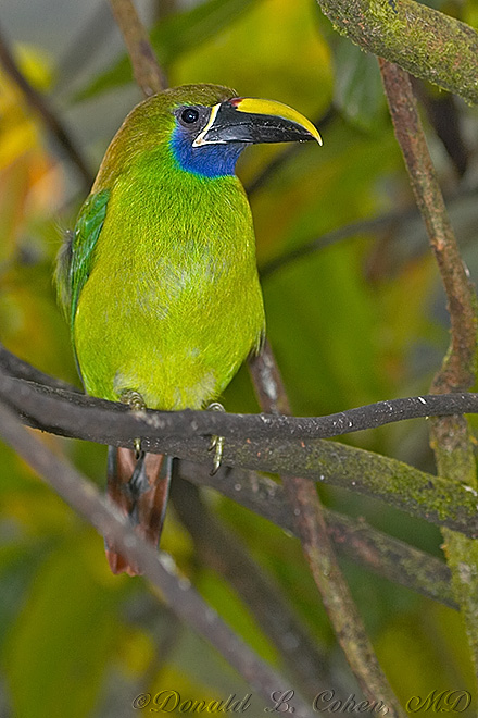 Click Here to Go Back