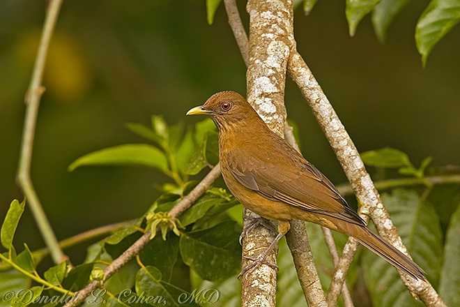 Click Here to Go Back