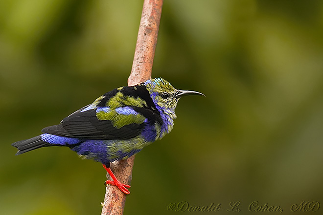 Click Here to Go Back