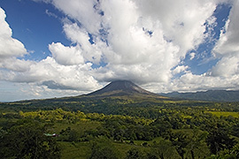 Click here for a larger image