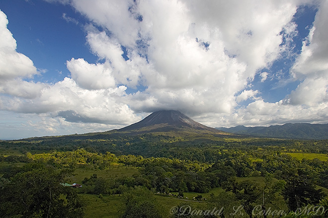 Click Here to Go Back