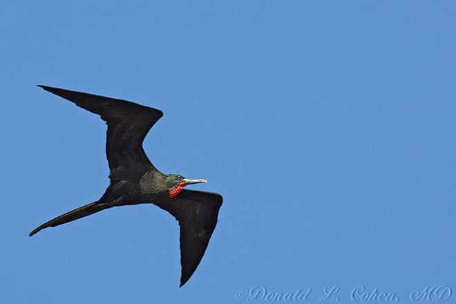 Click Here to Go Back