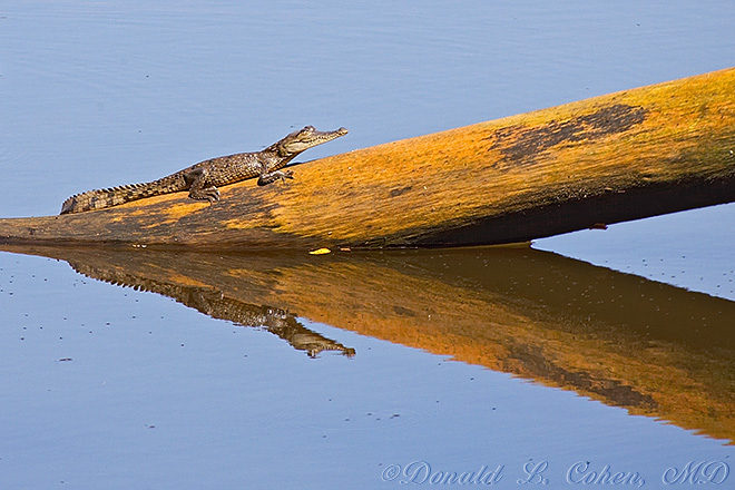 Click Here to Go Back