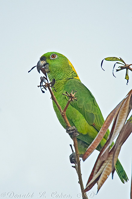 Click Here to Go Back