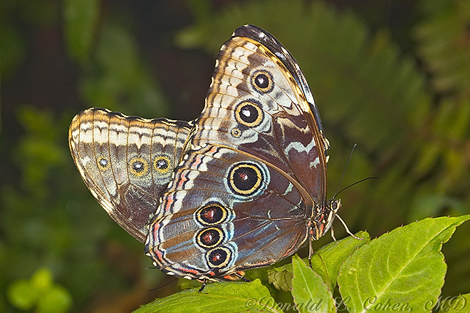 Click Here to Go Back