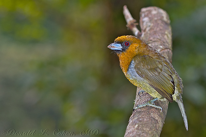 Click Here to Go Back