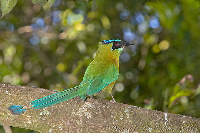 Click Here to Go Back