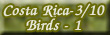 Costa Rica 2010 - Birds 1
