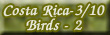Costa Rica 2010 - Birds 2