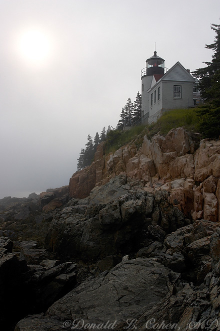 Click Here to Go Back