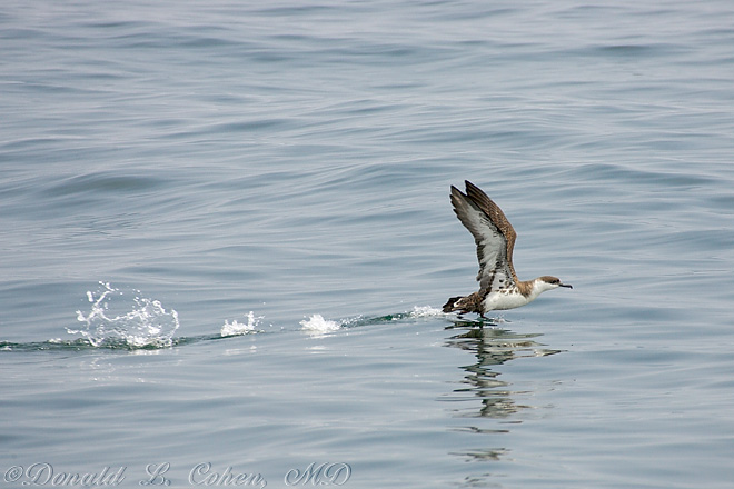 Click Here to Go Back