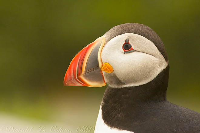 Click Here to Go Back