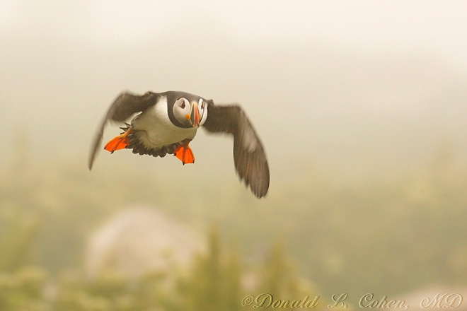 Click Here to Go Back